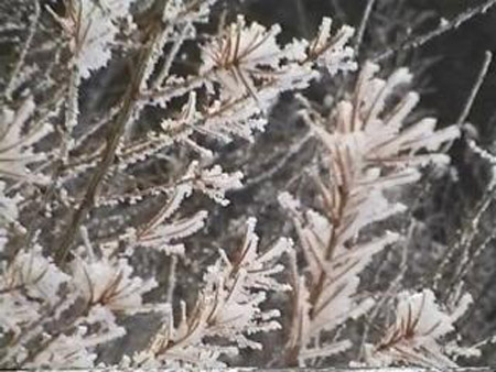 A givre