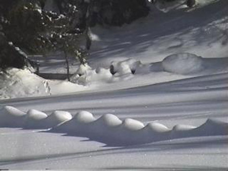 B Serpent de Seefeld