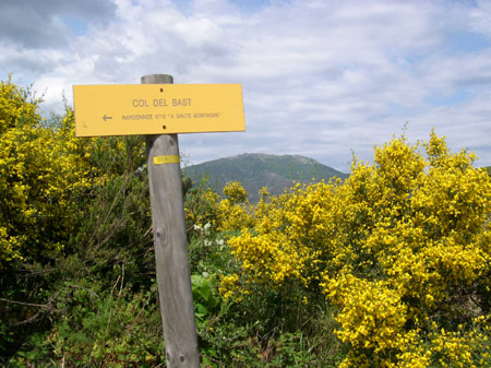 DSCN0058