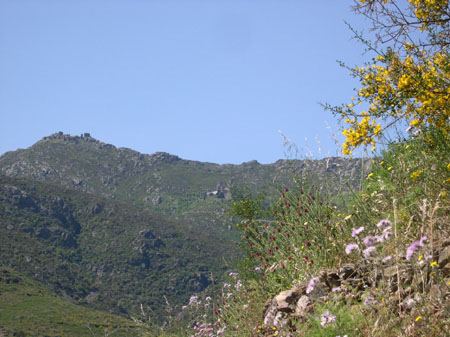 ADSCN0179