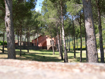 ADSCN0185