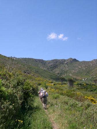 ADSCN0186