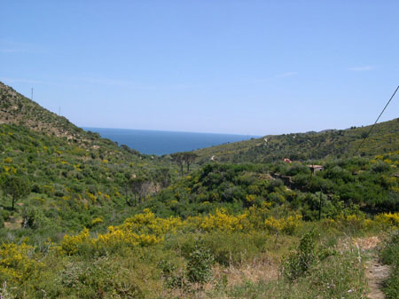 ADSCN0187