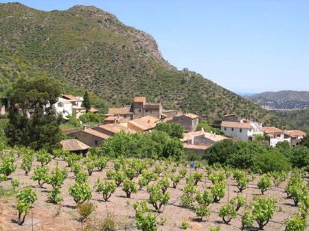 ADSCN0197