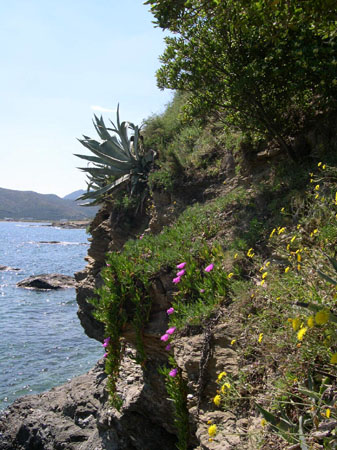 ADSCN0175