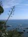 ADSCN0151