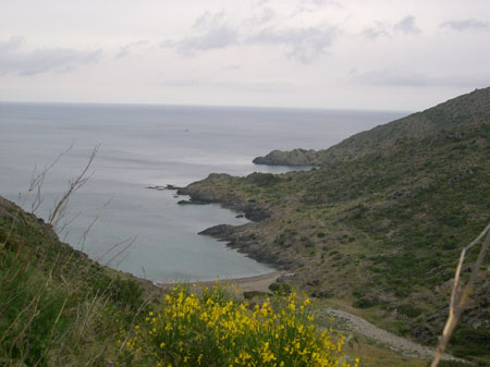 DSCN00601