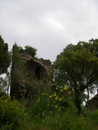 DSCN00681
