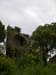 DSCN00681