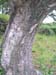DSCN00751