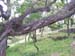 DSCN00761