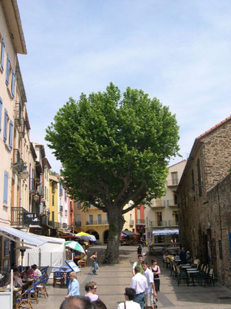 DSCN00042
