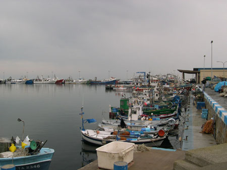 DSCN01671