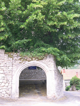 DSCN0020