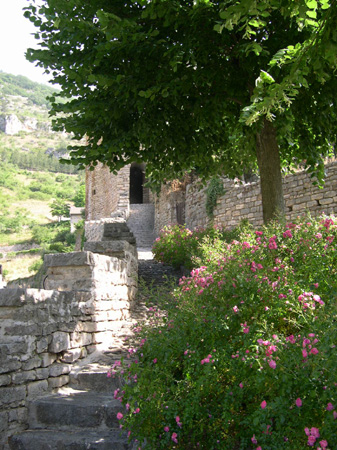 DSCN0025