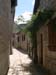 DSCN0036