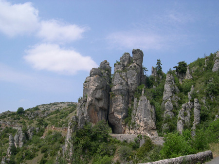 DSCN0113