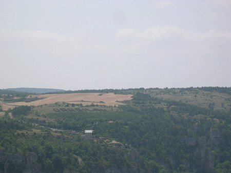 DSCN0118