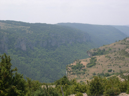 DSCN0123