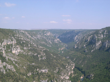 DSCN0134