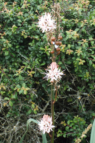 DSCF0749