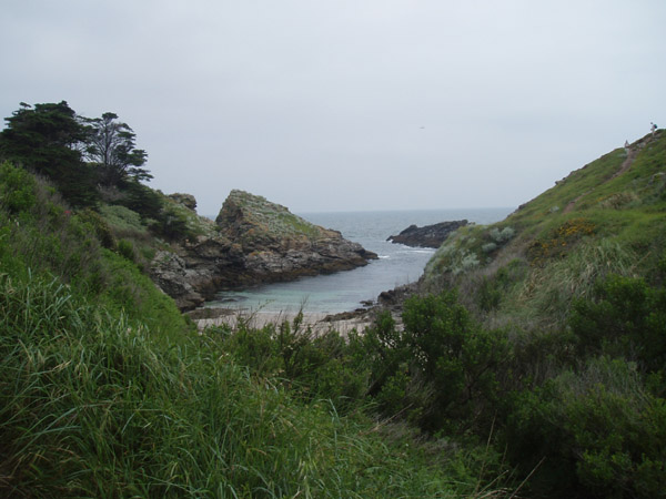P5220221