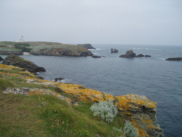 P5220223