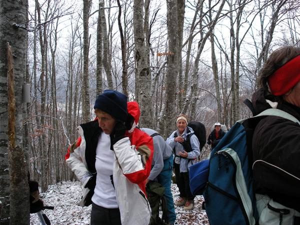 2007_0208randojanvier0014