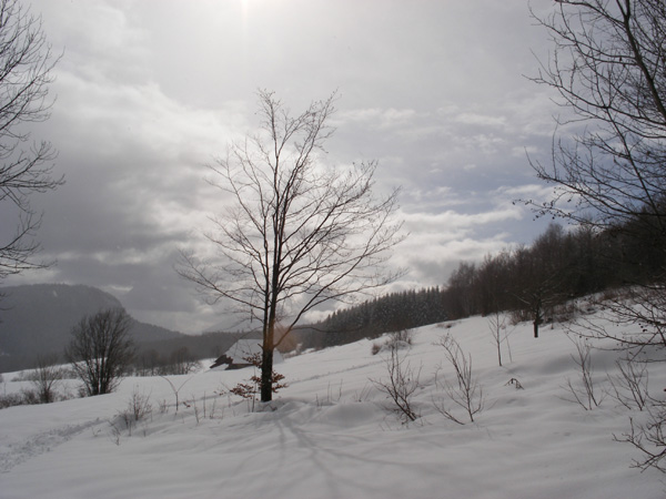 2007_0220randofevrier0055