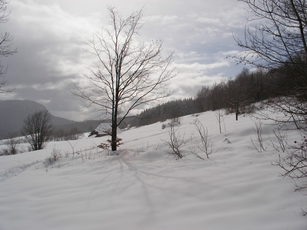 2007_0220randofevrier0056