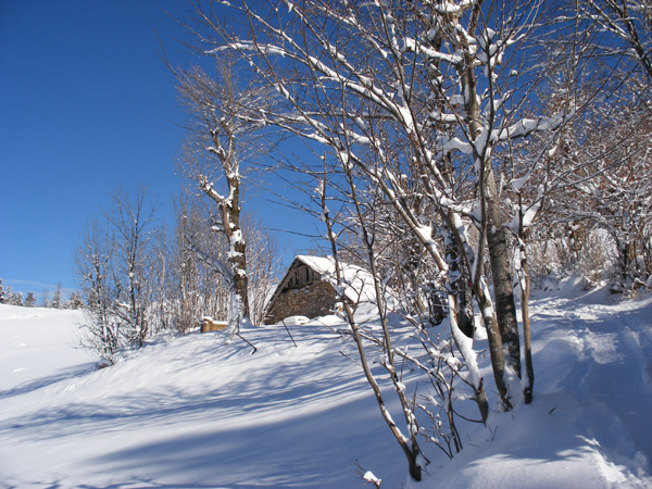2007_0227nouveau0005
