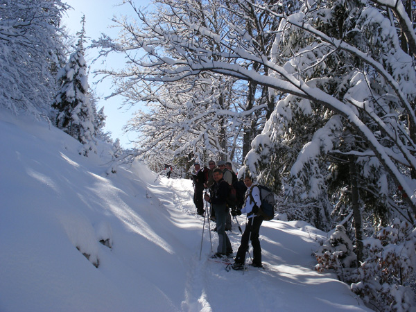 2007_0227nouveau0009