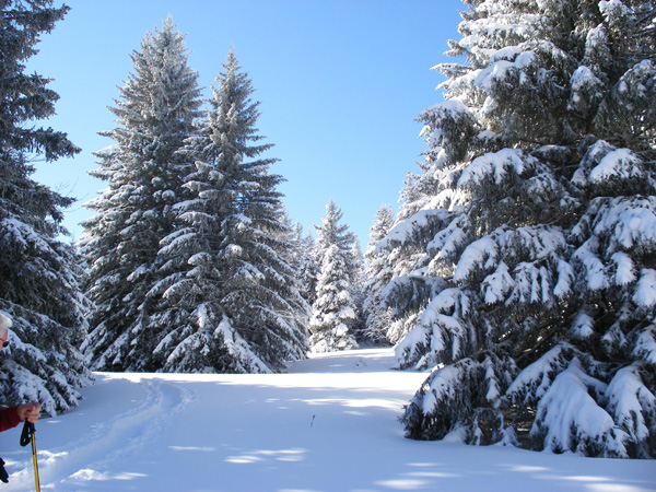 2007_0227nouveau0013
