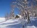 2007_0227nouveau0005