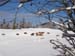 2007_0227nouveau0006