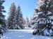 2007_0227nouveau0013