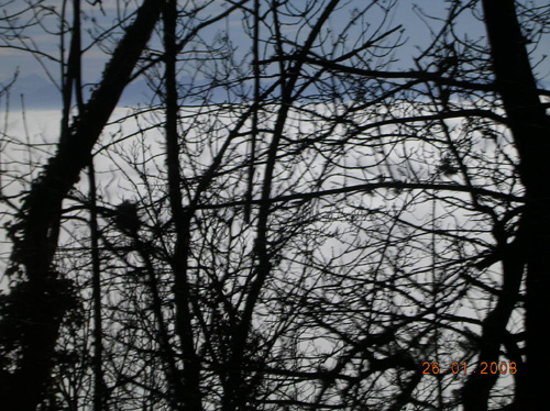 DSCN4196