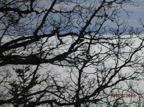 DSCN4197