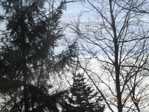 DSCN4198