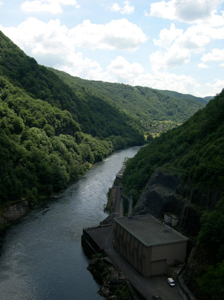 DSCN6467