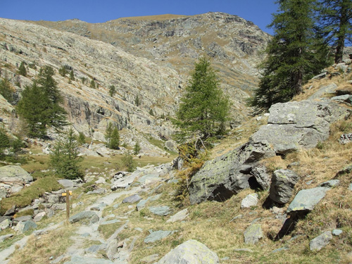 05 rencontre avec les chamois