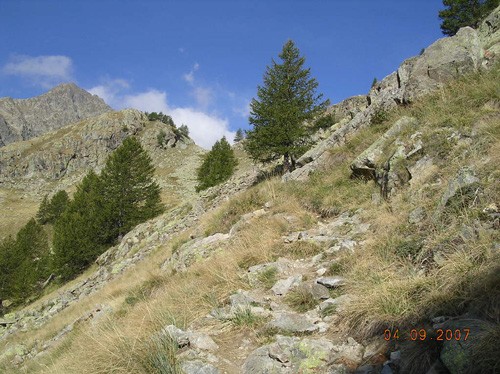 DSCN3660