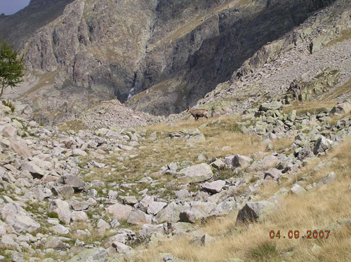 DSCN3664