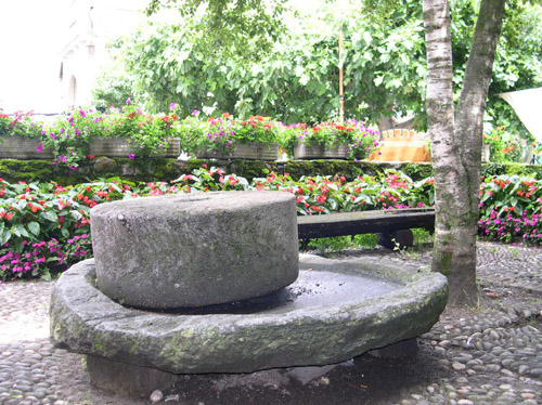 DSCN6821